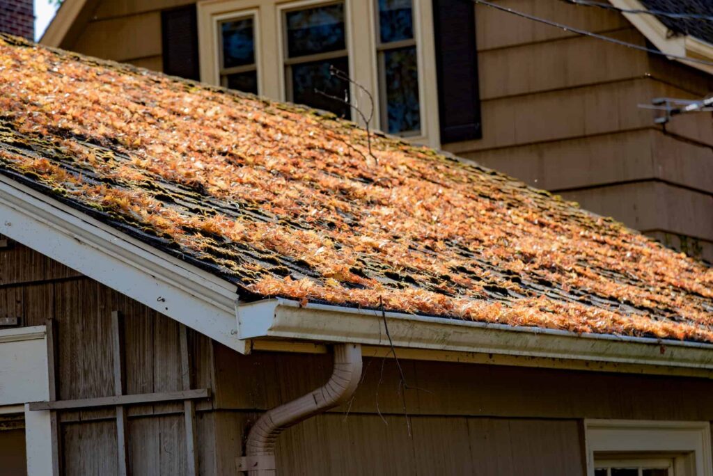 autumn leaves on shingled roof with rain gutters