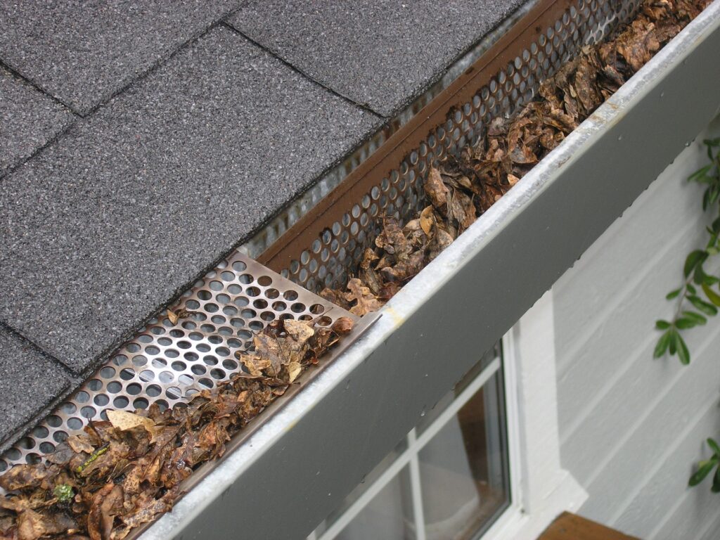 gutter guard ipswich 2434467 1920